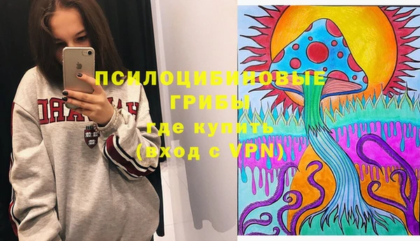 крисы Александровское