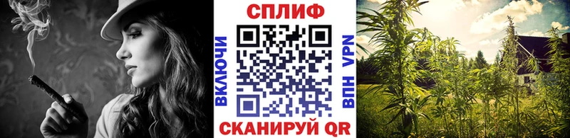 Бошки Шишки тримм  Вятские Поляны 